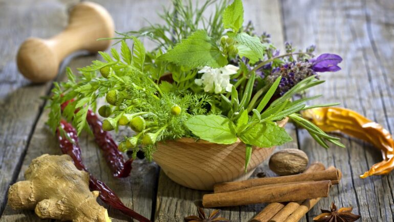 Terapia rastlinami: Ako bylinky môžu poslúžiť ako liek