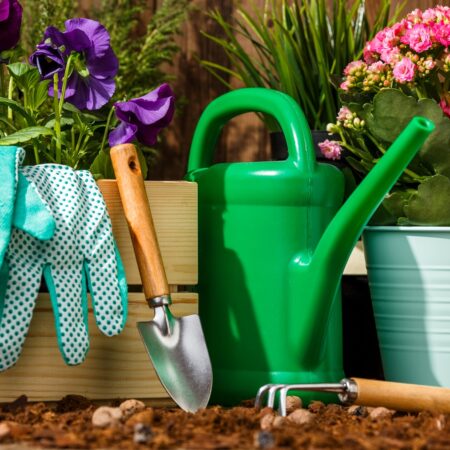 Starostlivosť o záhradu po zime: Ako sa pripraviť na jar