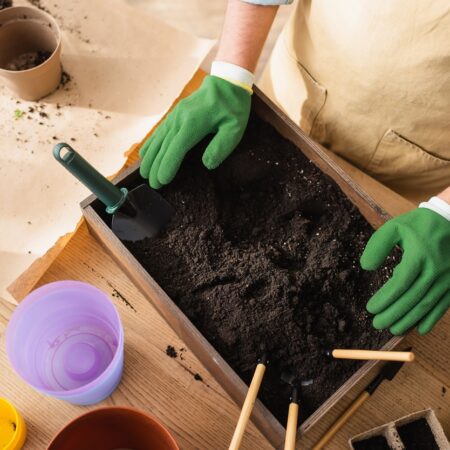 Práce v záhrade vo februári: Na toto nezabudnite