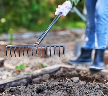 Dôležité práce v záhrade v marci: Kalendár záhradkára