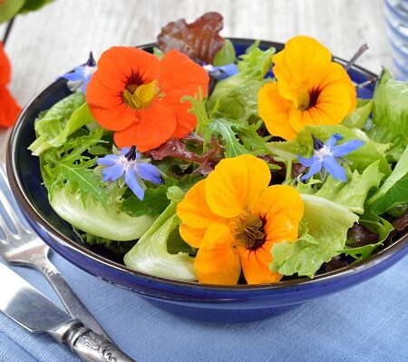 Kvetinová záhrada na zjedenie: Vypestujte si jedlé kvety