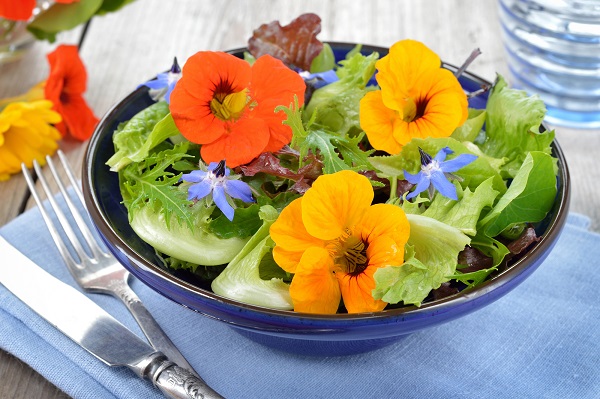 Kvetinová záhrada na zjedenie: Vypestujte si jedlé kvety