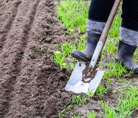 Ktoré práce v záhrade treba spraviť v apríli