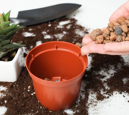 Použiť kamene na odvodnenie v kvetináčoch? Odpoveď vás prekvapí!