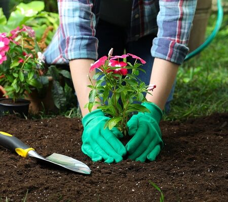 Aké práce v záhrade nás čakajú v máji