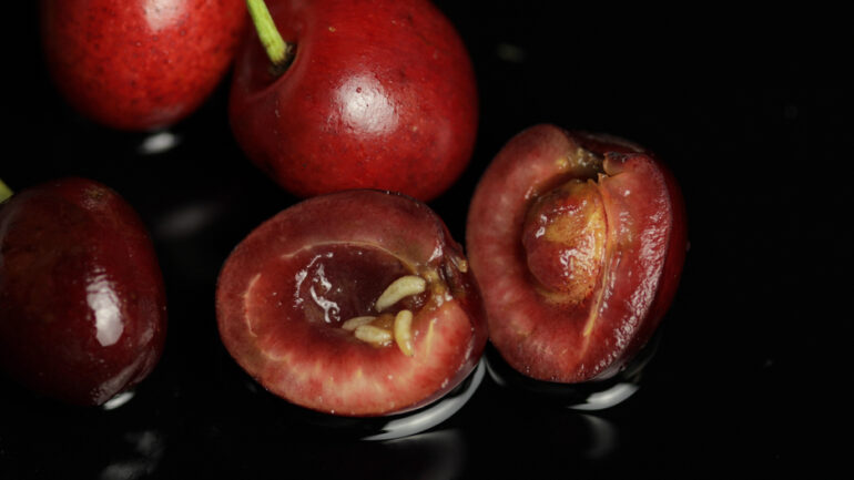 Červivé čerešne, zakročte včas pre účinnú prevenciu