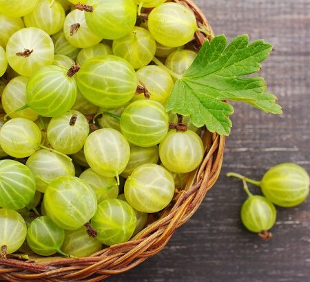 Košík plný čerstvého zeleného egreša s listom na drevenom pozadí.