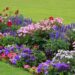 Okrasná záhrada v máji: Aby rozkvitla do krásy