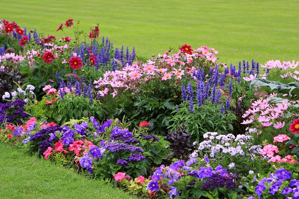 Okrasná záhrada v máji: Aby rozkvitla do krásy
