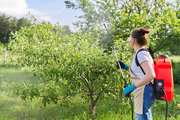 Ako šetrne chrániť hrušky a jablone proti škodcom