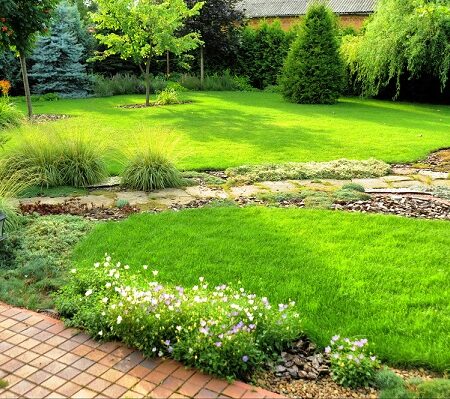 Najkrajší trávnik: Ako vybrať preň správne hnojivo?