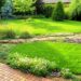 Najkrajší trávnik: Ako vybrať preň správne hnojivo?