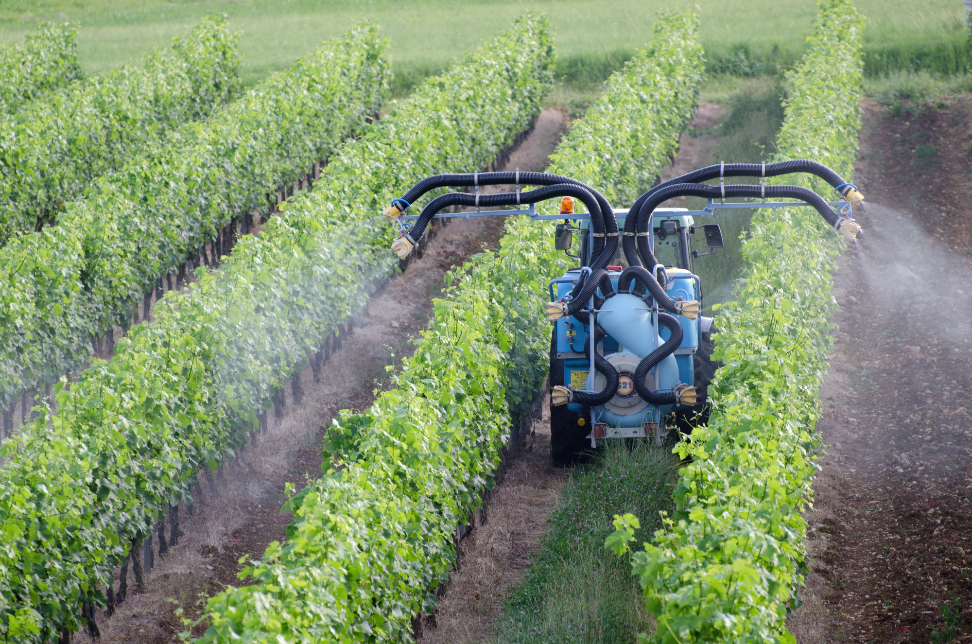 Moderný traktor postrekujúci vinič vo vinohrade