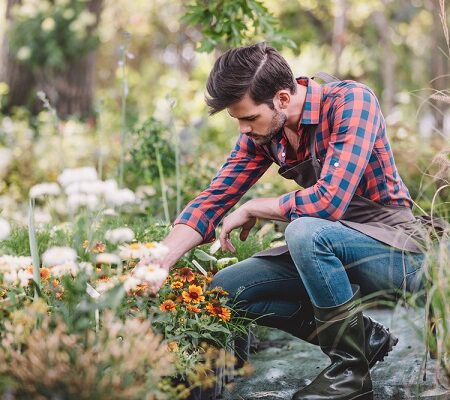 Koniec leta v záhrade: Muž v záhrade sa stará o kvety v letnom období.