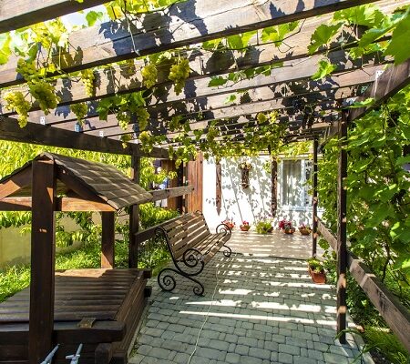 Rastliny vhodné pre pergoly: Pergola pokrytá viničom a tienistým priestorom na oddych