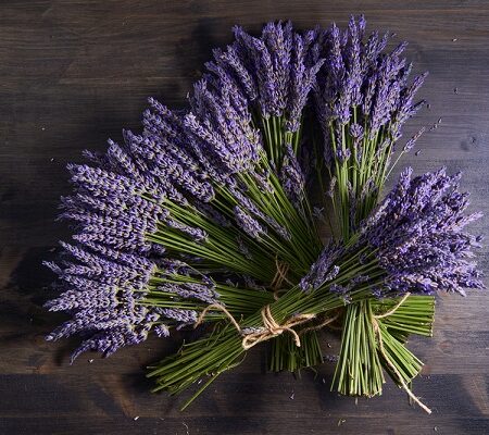 Zväzky čerstvo nazbieranej levandule úhľadne zviazané a položené na tmavom drevenom stole.