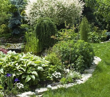 Ako ohranič kvetinový záhon s prírodným kamenným ohraničením v zelenom prostredí záhrady pri jazierku