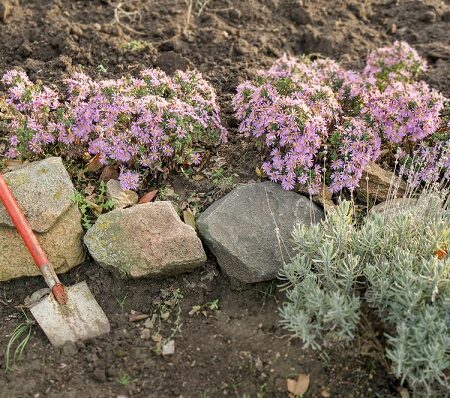Práce v záhrade v októbri