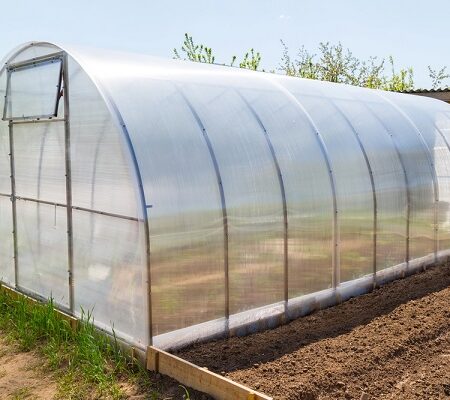 Prirodzená dezinfekcia skleníka a príprava pôdy na úspešnú pestovateľskú sezónu.