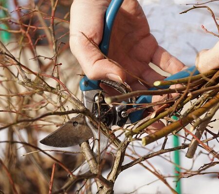 Príprava záhrady na zimu: Príprava záhrady na zimu: Myslite na týchto 5 krokov