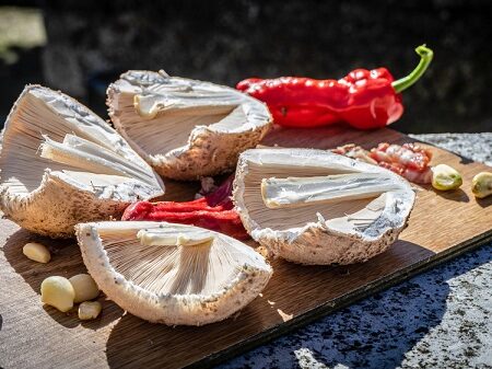 Nakrájané postele pripravené na drevenom lopári spolu s čerstvým cesnakom a paprikou. Jedlé bedle pripravené na grilovanie alebo pečenie ako súčasť chutného sezónneho jedla.