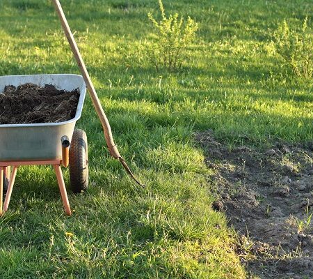 Fúrik plný maštaľného hnoja na trávniku vedľa pripraveného záhonu. Maštaľný hnoj je výborný pre každú záhradu.