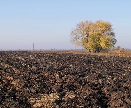 Čas rýľovania? Jesenné rýľovanie pôdy na poli s opadaným lístím a osamelým stromom v diaľke
