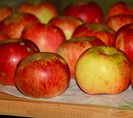 Uskladnené ovocie: Čerstvé jablká pripravené na uskladnenie pre dlhšiu životnosť.