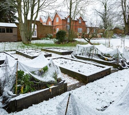 Príprava na ďalší vegetačný rok. Zasnežená záhrada s vyvýšenými záhonmi, ochranou rastlín a vidieckym domom v pozadí počas zimy.