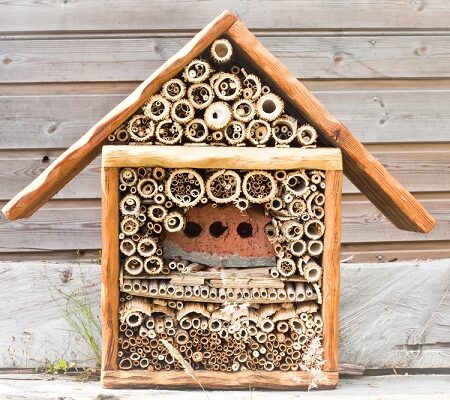 Drevený včelí domček vyplnený bambusovými tyčami, umiestnený na slnečnom mieste.
