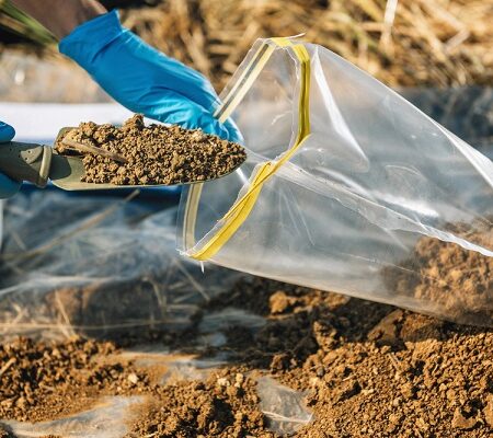 Odber vzorky pôdy do plastového vrecka na analýzu zloženia a rozbor pôdy pre pestovanie viniča.