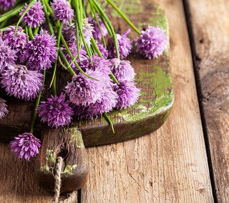 Kvety pažítky na drevenej doske, pripravené na použitie v kuchyni alebo na dekoráciu jedál.