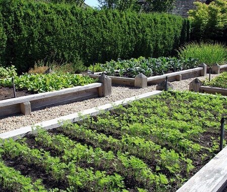 Vyvýšené záhony v záhrade s bujnou zeleninou a kvetmi, lemované drevenými rámami a štrkovými chodníkmi.