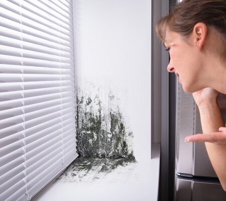 Plesne v dome: Žena skúma plesne na okennom parapete v interiéri domu