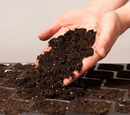 Pôdna prevencia. Ruka držiaca zdravú pôdu pripravenú na pestovanie s dôrazom na pôdnu prevenci