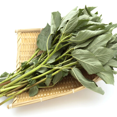 Pestovanie molokhie: Čerstvé listy molokhie (egyptského špenátu) na bambusovom podnose, pripravené na kulinárske využitie.