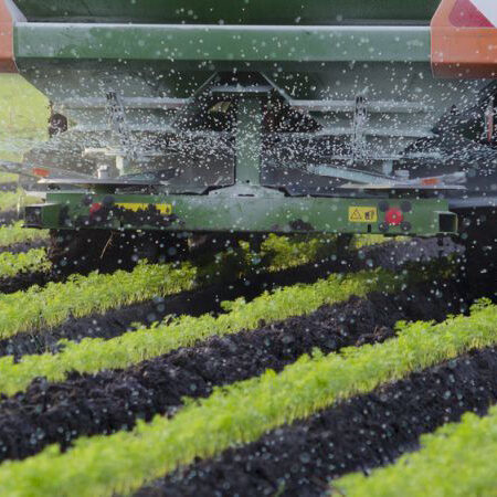 Aké hnojivá vybrať na jar pre hustý trávnik bez machu a bohatú úrodu?