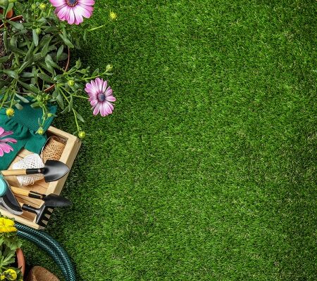 Ako sa starať o trávnik. Záhradnícke náradie a kvety pripravené na prácu na trávniku v jarnom období