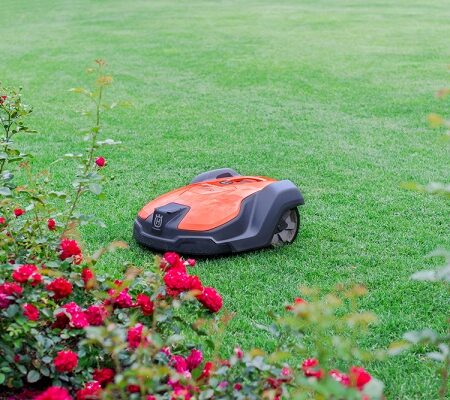 Robotická kosačka kosiaca trávnik pri červenej ružovej záhrade