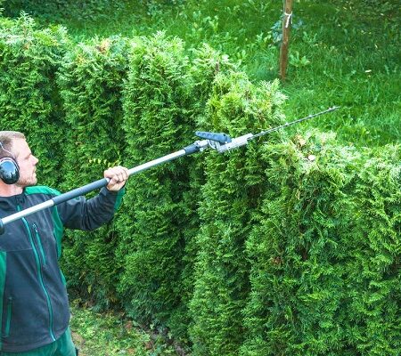 Ako strihať živý plot. Muž strihá živý plot z tují pomocou elektrických nožníc s teleskopickou rukoväťou v záhrade.