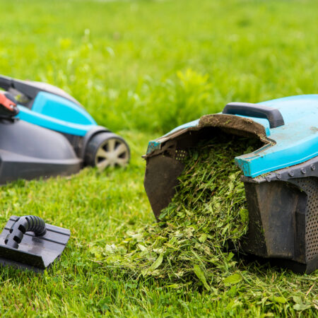Pokosená tráva z kosačky pripravená na mulčovanie pokosenou trávou v záhrade
