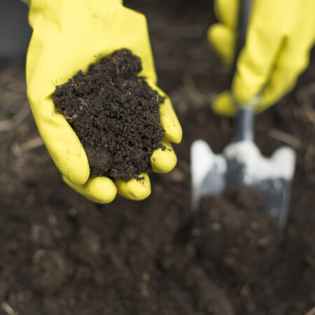 Ekologické hnojivá, Ruka v žltých rukaviciach drží kvalitný kompost ako príklad hnojiva s ekologickým charakterom