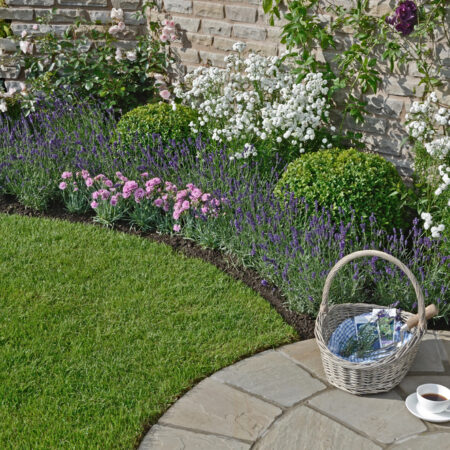 júl v záhrade. Udržiavaná letná záhrada v júli s kvitnúcou levanduľou, ružami a košíkom na kamennej terase.