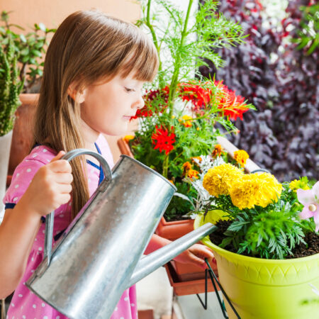 Ošetrenie letničiek na balkóne. Dievčatko polieva kvitnúce letničky na balkóne, stará sa o kvety v črepníkoch počas leta.