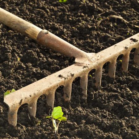 Príprava pôdy v záhrade pomocou hrablí počas aprílových prác. Aprílové práce