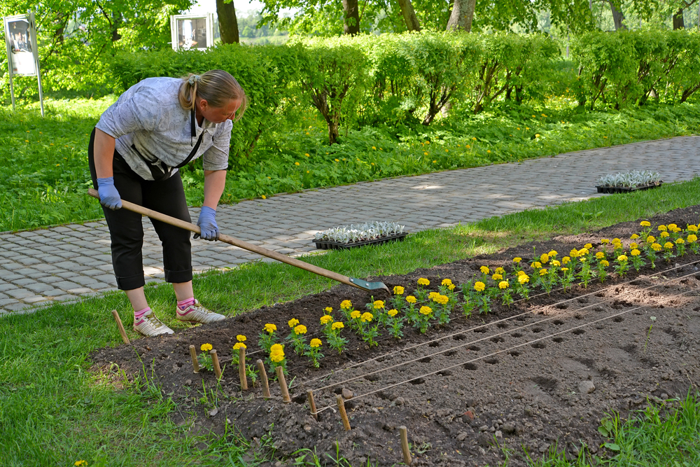 májové práce záhrada výsadba kvetov záhon úprava pôdy záhradkár