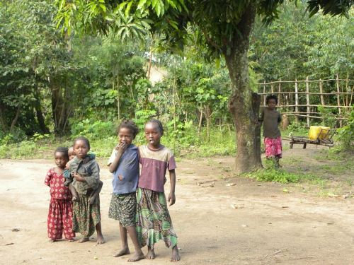deti a stromy v Etiópii, zdroj: pixabay.com